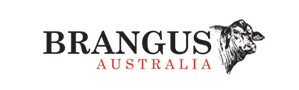 Brangus Australia